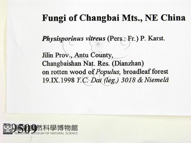 登錄號:F0009509藏品圖，第2張