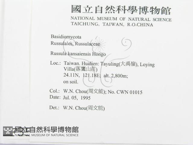 登錄號:F0003509藏品圖，第2張