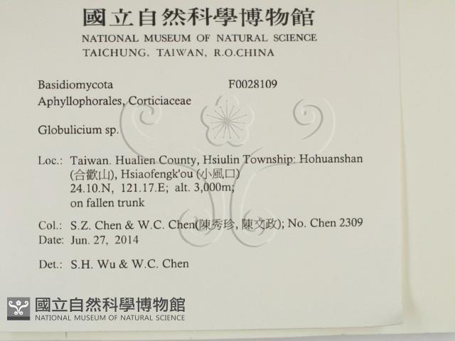 登錄號:F0028109藏品圖，第2張