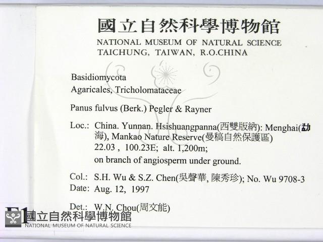 登錄號:F0010109藏品圖，第2張