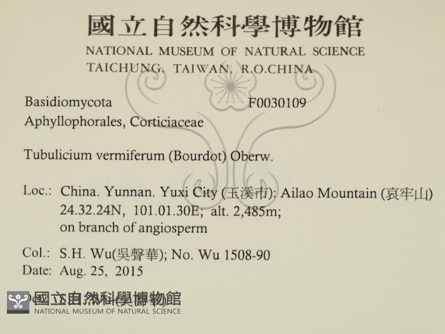 登錄號:F0030109藏品圖，第2張