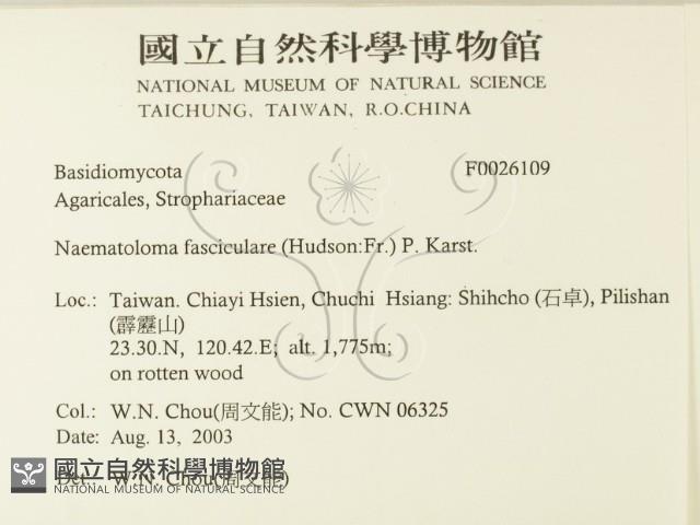 登錄號:F0026109藏品圖，第2張