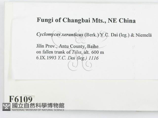 登錄號:F0006109藏品圖，第2張