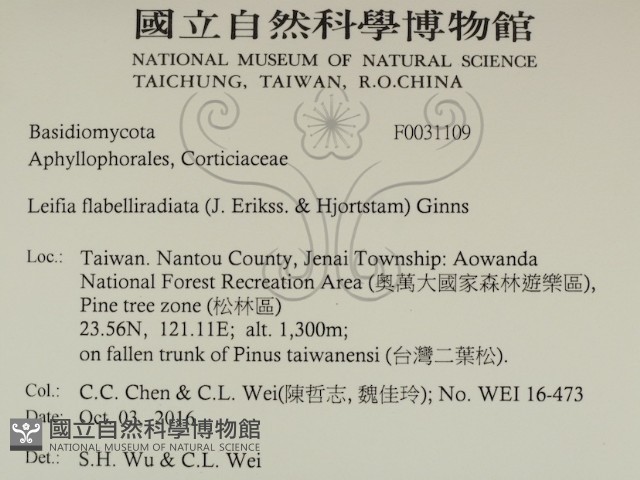 登錄號:F0031109藏品圖，第2張
