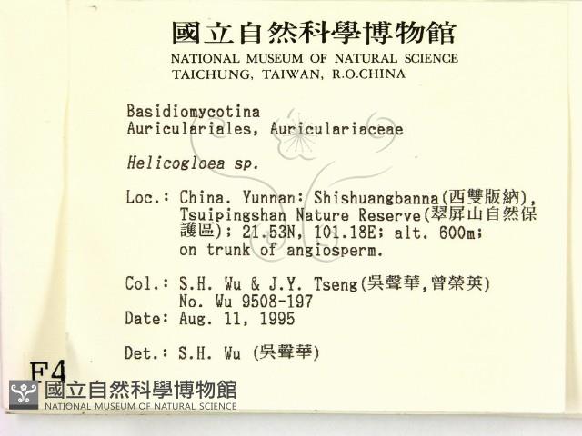 登錄號:F0004109藏品圖，第2張