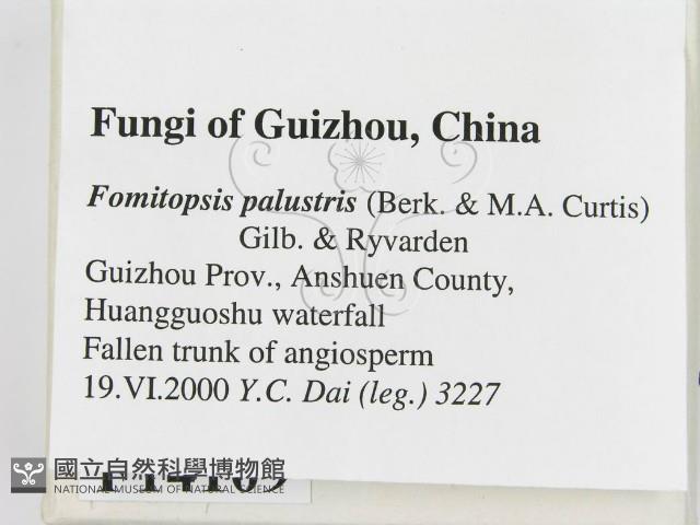 登錄號:F0014109藏品圖，第2張