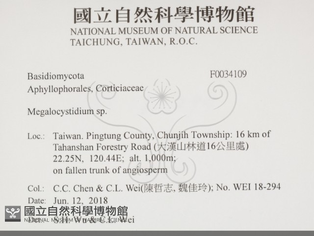 登錄號:F0034109藏品圖，第2張