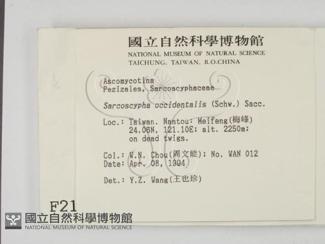 登錄號:F0002109藏品圖，第2張