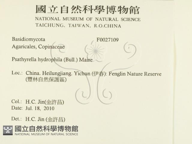 登錄號:F0027109藏品圖，第2張