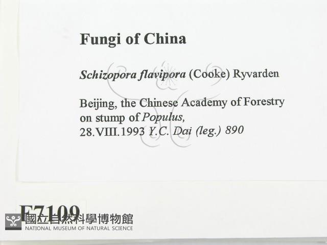 登錄號:F0007109藏品圖，第2張