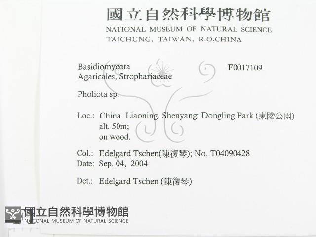 登錄號:F0017109藏品圖，第2張