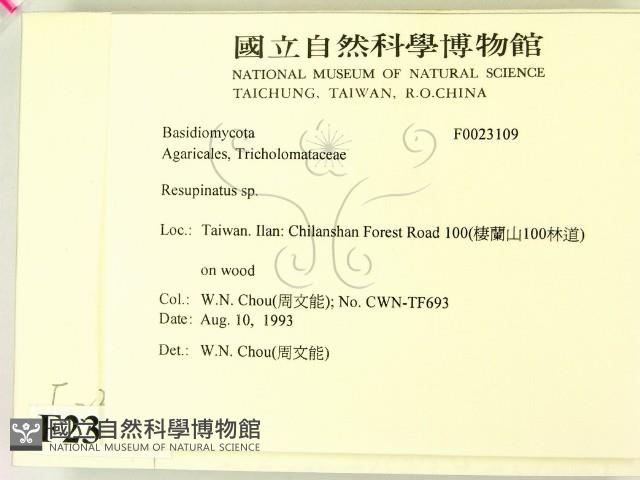 登錄號:F0023109藏品圖，第2張