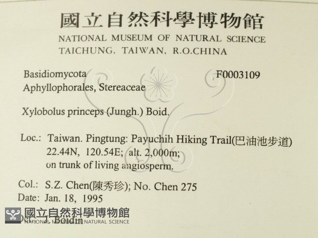 登錄號:F0003109藏品圖，第2張