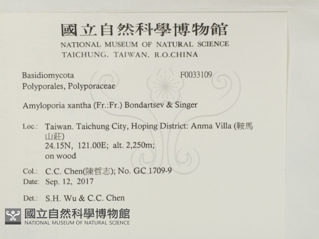 登錄號:F0033109藏品圖，第2張
