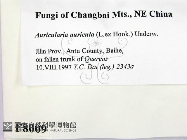 登錄號:F0008009藏品圖，第2張