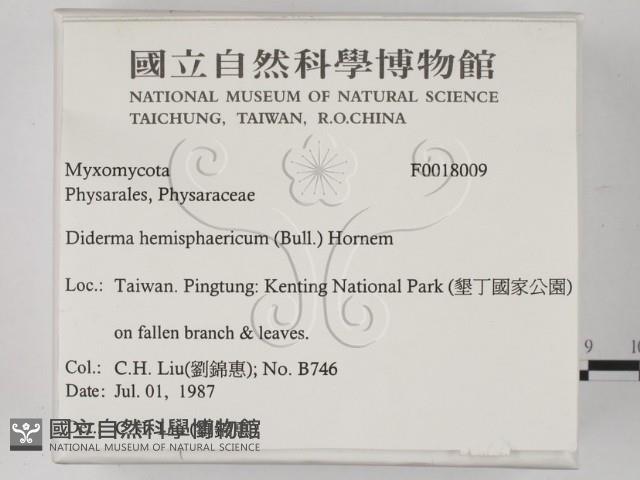 登錄號:F0018009藏品圖，第2張