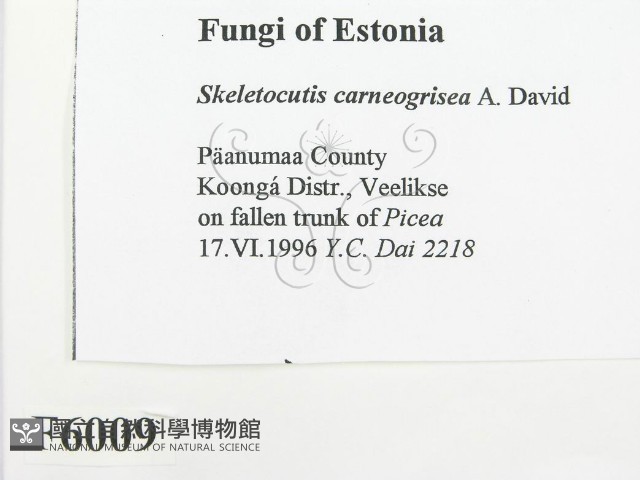 登錄號:F0006009藏品圖，第2張