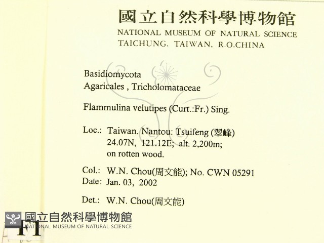登錄號:F0016009藏品圖，第2張