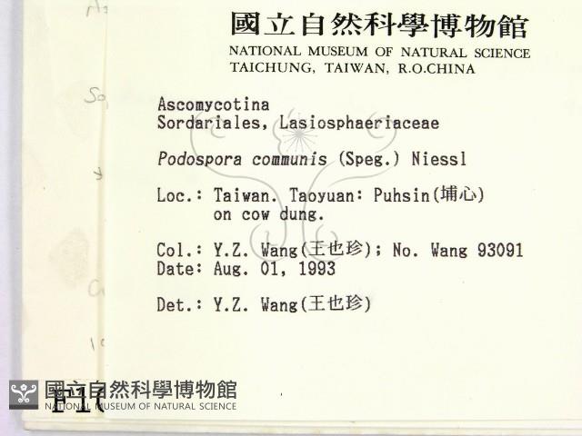 登錄號:F0001009藏品圖，第2張