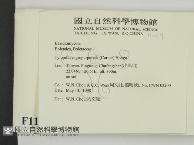 登錄號:F0011009藏品圖，第2張