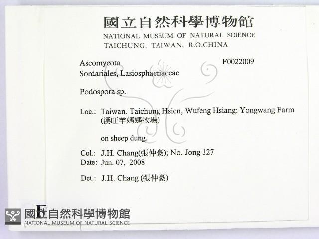 登錄號:F0022009藏品圖，第2張
