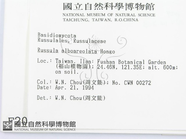 登錄號:F0002009藏品圖，第2張