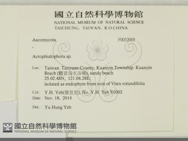 登錄號:F0032009藏品圖，第2張