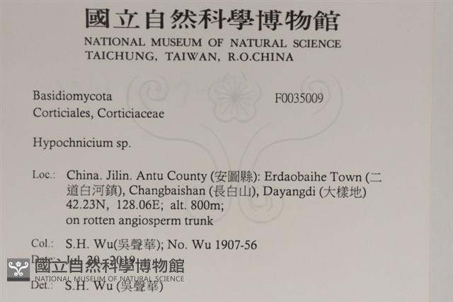 登錄號:F0035009藏品圖，第2張