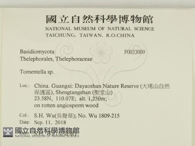 Accession Number:F0033009 Collection Image, Figure 2, Total 2 Figures