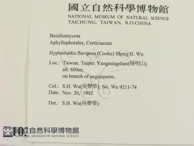 登錄號:F0010309藏品圖，第2張