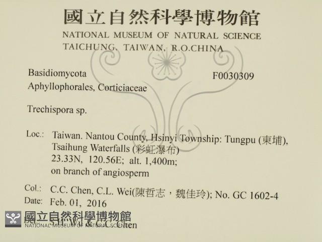 登錄號:F0030309藏品圖，第2張
