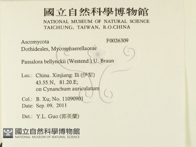 登錄號:F0026309藏品圖，第2張