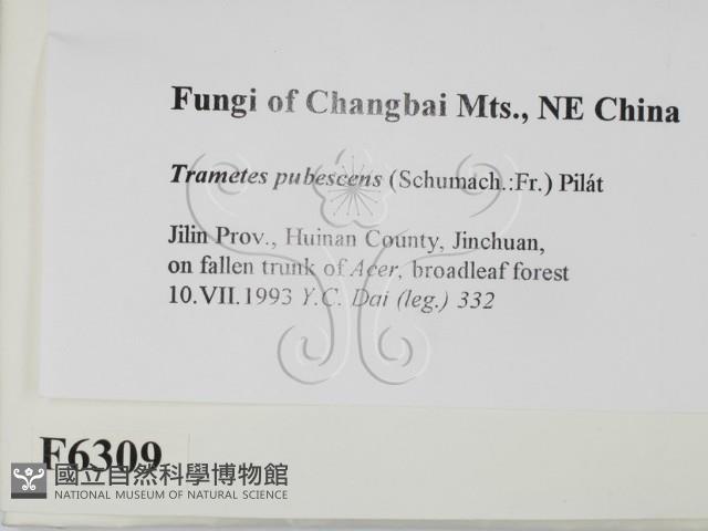 登錄號:F0006309藏品圖，第2張