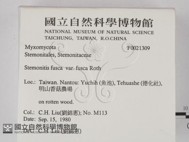 登錄號:F0021309藏品圖，第2張