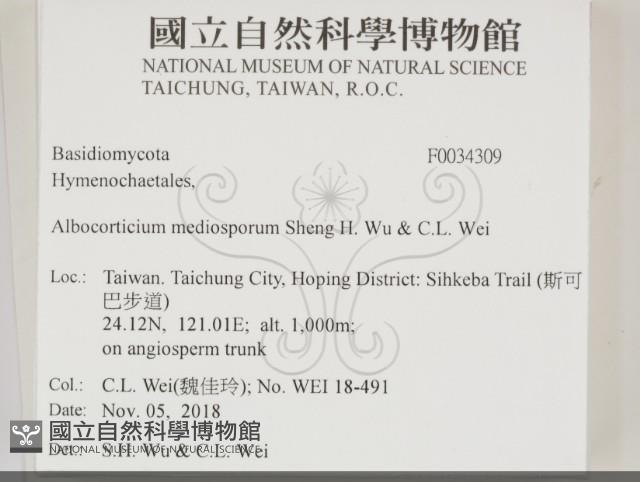 登錄號:F0034309藏品圖，第2張