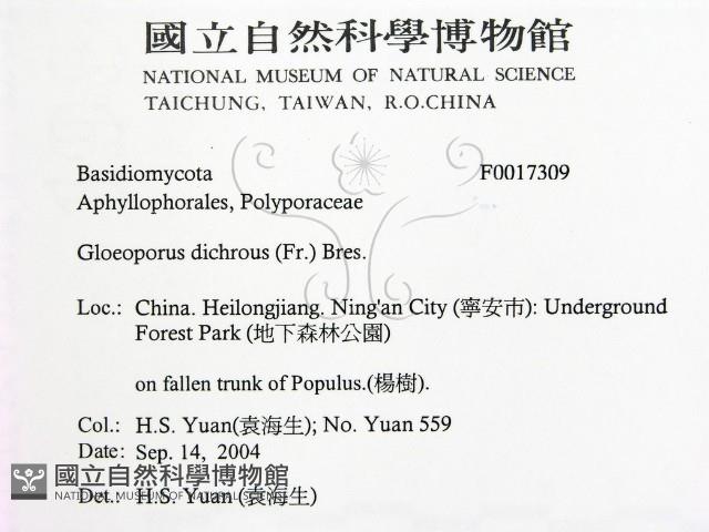登錄號:F0017309藏品圖，第2張