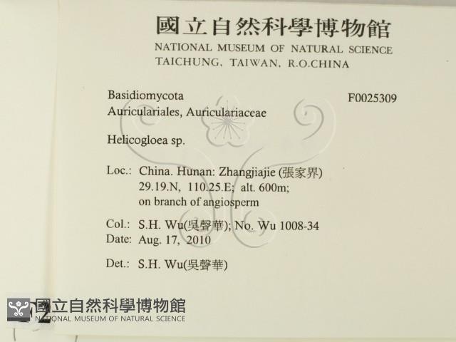 登錄號:F0025309藏品圖，第2張