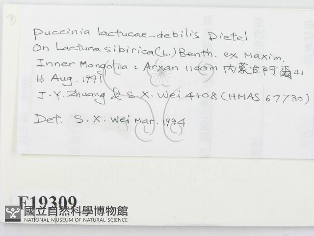 登錄號:F0019309藏品圖，第2張