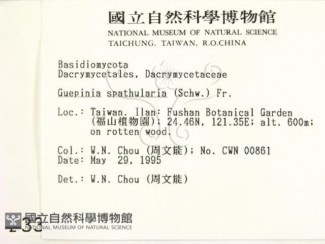 登錄號:F0003309藏品圖，第2張