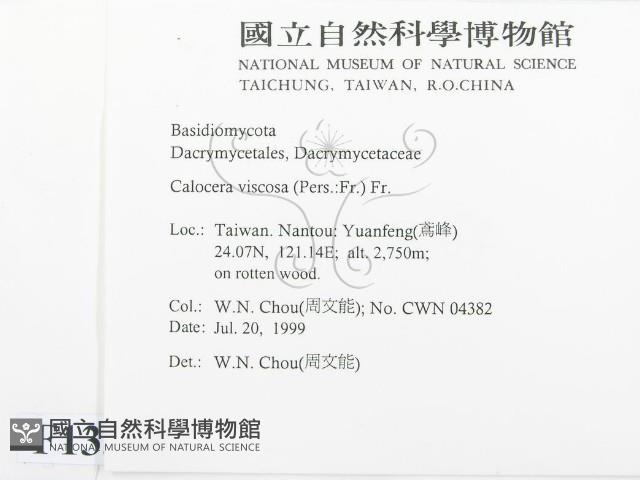 登錄號:F0013309藏品圖，第2張