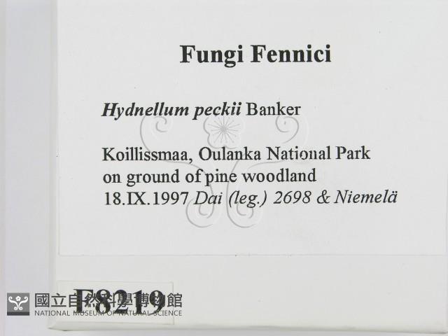 登錄號:F0008219藏品圖，第2張