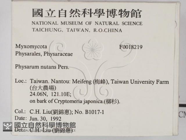 登錄號:F0018219藏品圖，第2張