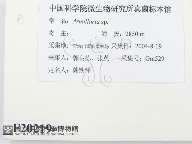 登錄號:F0020219藏品圖，第2張