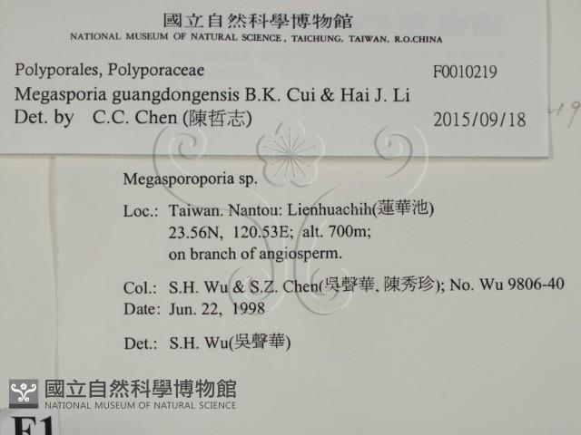 登錄號:F0010219藏品圖，第2張
