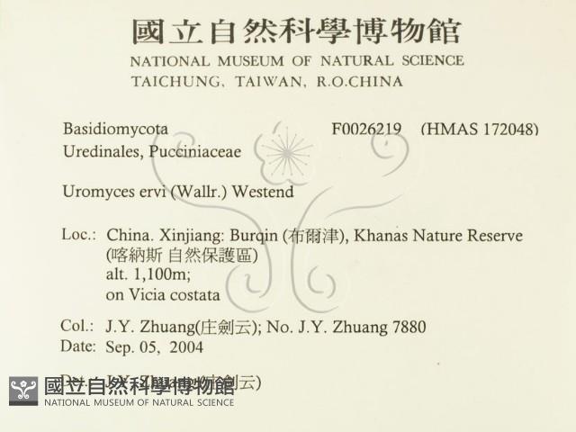 登錄號:F0026219藏品圖，第2張