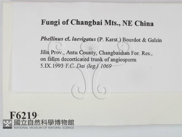 登錄號:F0006219藏品圖，第2張