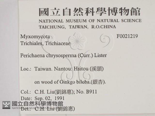 登錄號:F0021219藏品圖，第2張