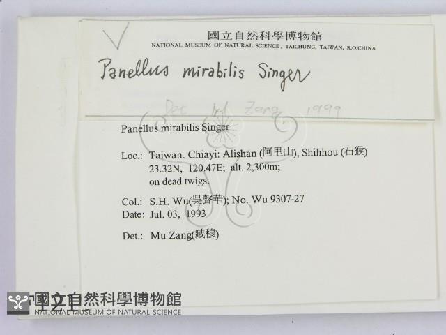 登錄號:F0001219藏品圖，第2張