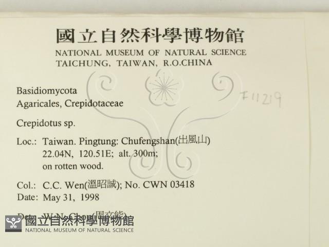 登錄號:F0011219藏品圖，第2張