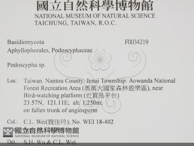 登錄號:F0034219藏品圖，第2張